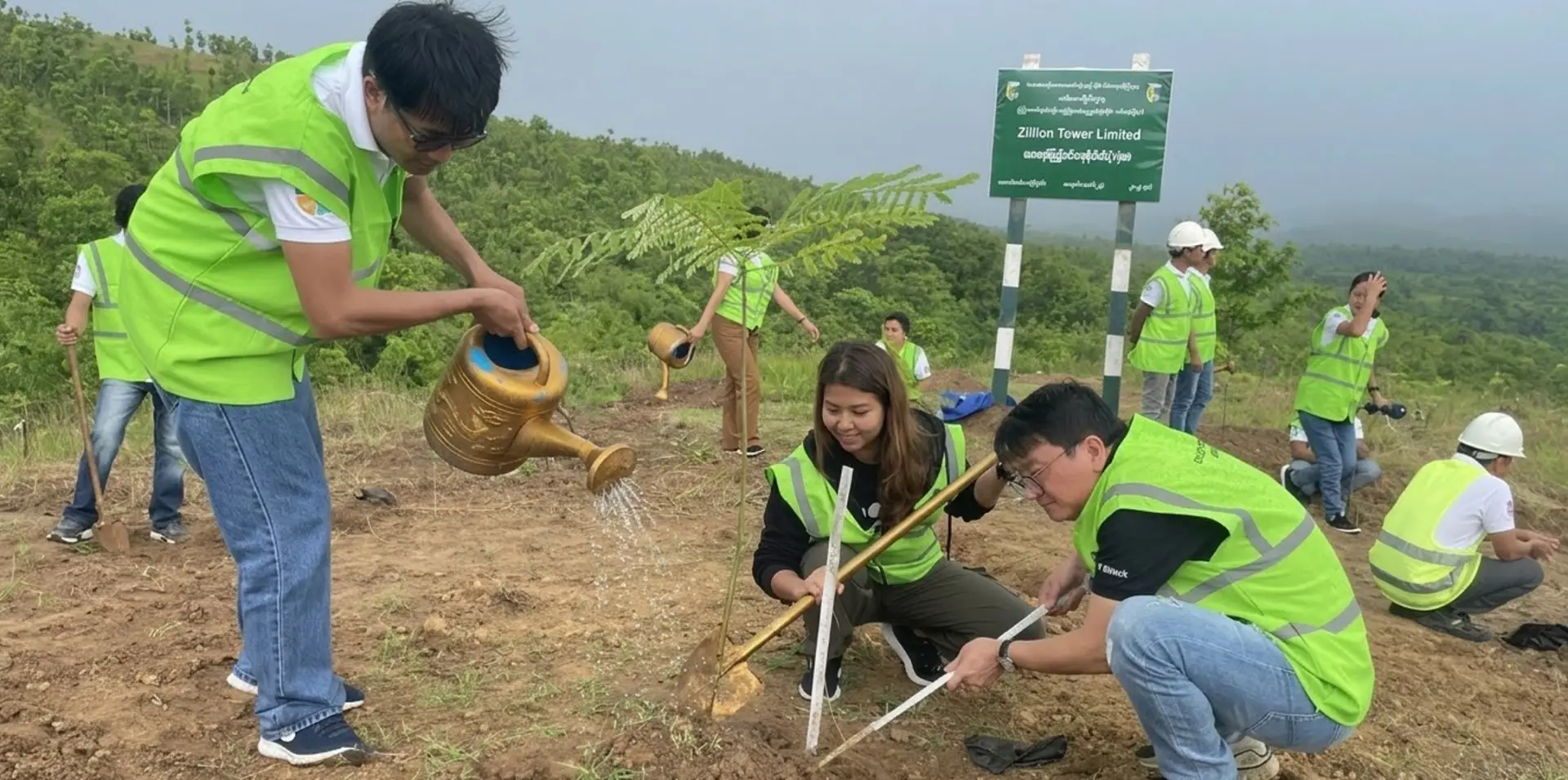 Committed to sustaiznability through every sapling we plant