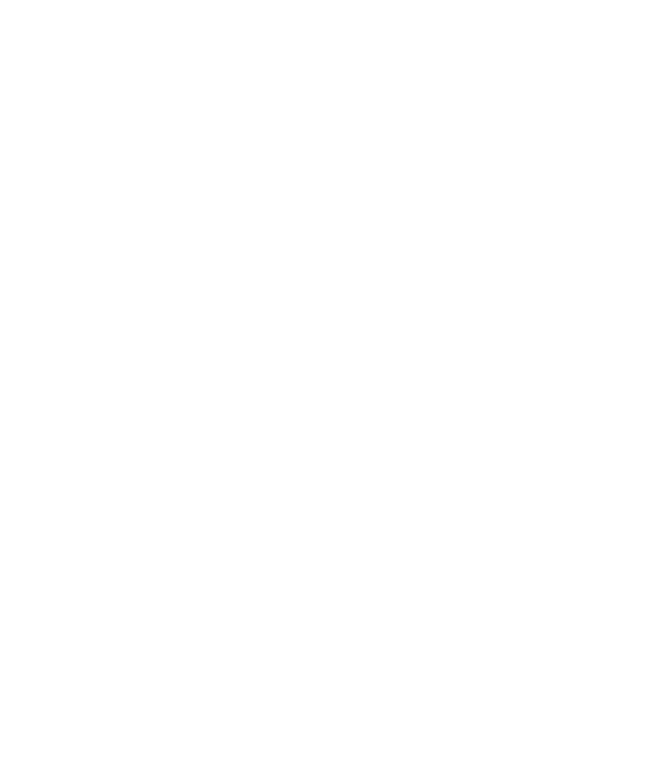 Zillion White Logo